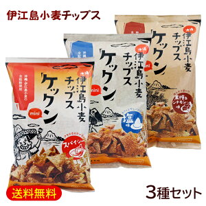 ɍ]`bvX PbN mini 3ZbgiEXpCV[EVij@/ꂨyY َqyFSz