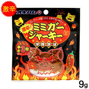 h ~~K[W[L[ 9g@/ILn ꂨyY ܂