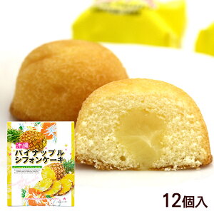 pCibvVtHP[L 12@/ꂨyY َq 쐼