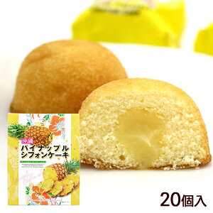 pCibvVtHP[L 20@/ꂨyY َq 쐼