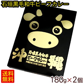 沖縄石垣黒毛和牛ビーフカレー 180g×2個　/ 【M便】