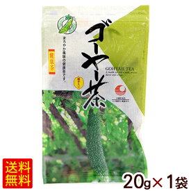 ゴーヤー茶（小）20g×1袋　/比嘉製茶 ゴーヤ茶 【M便】