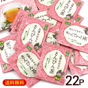 比嘉おばぁのさんぴん茶 ティーバッグ 22P×1箱　/ジャスミン茶 比嘉製茶【M便】