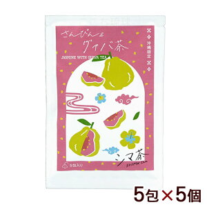 V} ҂񁕃O@o 5@/eB[obO WX~ ꂨyY