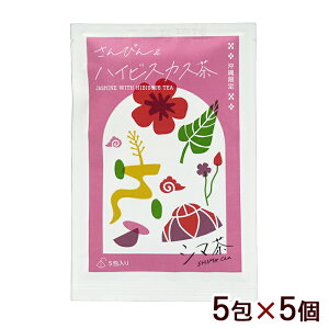 V} ҂񁕃nCrXJX 5@/eB[obO WX~ ꂨyY