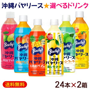 沖縄バヤリースドリンク 24本×2箱セット /マンゴー グァバ ソルティシークワーサー 石垣島パイン オレンジ ジュース 選べる2ケース ペットボトル 沖縄限定【FS】