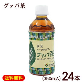 グァバ茶 350ml×24本（1ケース）　/沖縄産 JAおきなわ ペットボトル【FS】