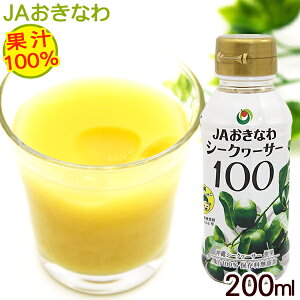 V[N[T[ ʏ`100 200ml@/JAȂ ؂V[N[T[ W[X t mr`