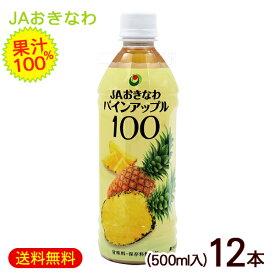 パインアップル100　500ml×12本　 /沖縄産 パイナップル ジュース 果汁100％ JAおきなわ【FS】