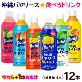 沖縄バヤリース 選べるドリンク 500ml×12本　/グァバ マンゴー ソルティシークワーサー オレンジ 石垣島パイン 島レモネード ジュース ペットボトル 沖縄限定【FS】