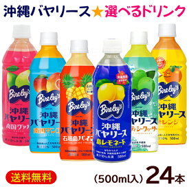 沖縄バヤリース 選べるドリンク 500ml×24本　/グァバ マンゴー オレンジ 石垣島パイン ソルティシークワーサー 島レモネード ジュース ペットボトル 沖縄限定【FS】