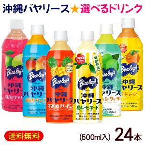 o[X IׂhN 500ml×24{@/O@o }S[ IW Ί_pC \eBV[N[T[ W[X ybg{g yFSz