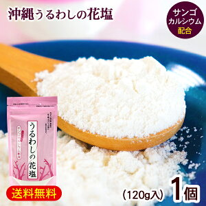 킵̉ԉ 120g×1@/  TSJVE kJ̉yMցz