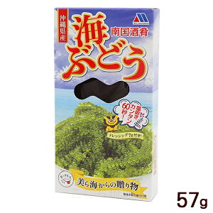 썑 CԂǂ ^t 57g@/Ђ Y yY