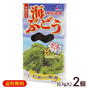 썑 CԂǂ ^t 57g×2@/Ђ Y yYyMցz