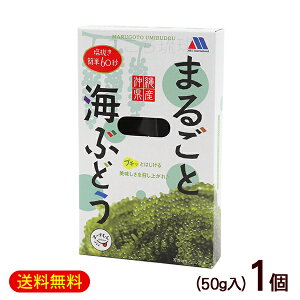 ܂邲ƊCԂǂ 50g×1@/^Ȃ Ђ Y yYyMցz
