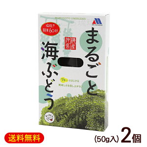 ܂邲ƊCԂǂ 50g×2@/^Ȃ Ђ Y yYyMցz