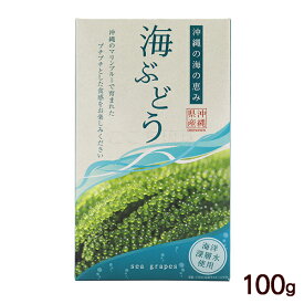 海ぶどう 100g 　/箱入 タレなし 沖縄産 グローアップ
