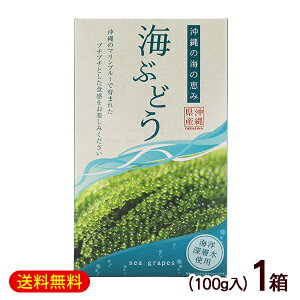 海ぶどう 100g×1箱 /箱入 タレなし 沖縄産 グローアップ【M便】