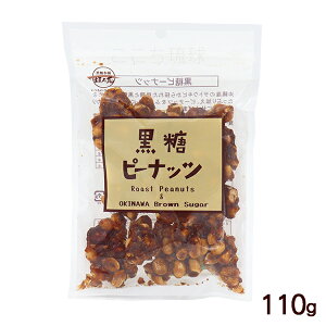 s[ibc 110g@/ibc _T ꂨyY َq