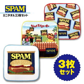 SPAMスパム ミニタオル3枚セット　/沖縄お土産【M便】