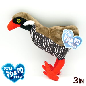 }V}}XRbg oNCii207-727j@/ʂ ꂨyY