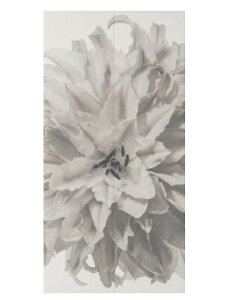 yGRJbg ZtzLIXILEINAX yECSF-1260S-14z GRJbg Zt ECSF-1260S/14 TCYFW606×H1212