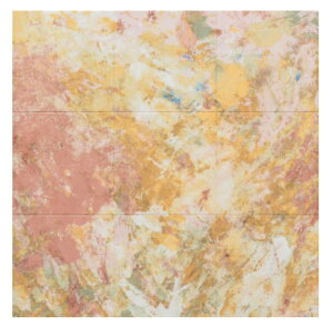 LIXILEINAX yECSF-9090S-54z GRJbg Zt ECSF-9090S/54 TCYFW909×H909