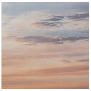 LIXILEINAX yECSF-9090S-201z GRJbg Zt ECSF-9090S/201 TCYFW909×H909