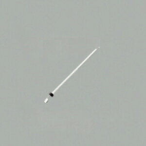 I[fbN CeACg V[Ot@ WF 613 P1@WF613P1y[J[񂹁zyρE㕥ϕszyiz