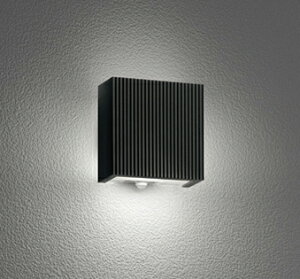 �I�[�f���b�N �G�N�X�e���A �|�[�`���C�g �yOG254865NCR�z�yOG 254 865NCR�z�y������ρE�㕥�����ϕs�z�y�����i�z