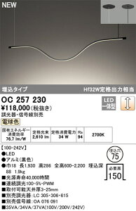 yOC257230zI[fbN VfA LEĎ^ FiRajF94 ߍ݌F75 rOArO_CjOAVfAACgAƖACeAƖALEDƖ