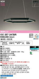 yOC257247BRzI[fbN VfA LEĎ^ FiRajF94 F`8 rOArO_CjOAVfAACgAƖACeAƖALEDƖ dF`F LED