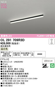 �x�[�X���C�g �I�[�f���b�N OL291709R3D ������E�㕥���s��