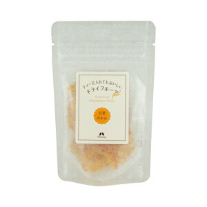 hCt[c Y傤 YÉĂ݂ Y Y䂸 y[֑Ή\z ܂ gbsO XC[c p n[ueB  YyzJX