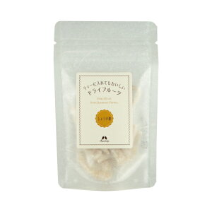 hCt[c Y傤 YÉĂ݂ Y Y䂸 y[֑Ή\z ܂ gbsO XC[c p n[ueB  YyzJX