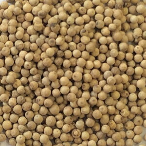 ybp[ zCg z[ I[KjbN 20g|100g|500g [hCn[u]yzn[uX JX|L@ XpCX RVE 傤 Ӟ