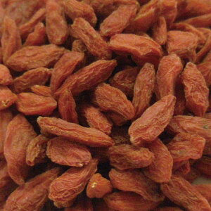 NR̎/NRV/mXq z[ 20g|100g [hCn[u]yzn[uX JX|n[ueB[ Etx[