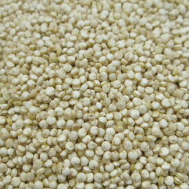 キヌア シード ホール オーガニック 20g|100g|500g [ドライハーブ]【公式】ハーブ専門店 カリス成城|有機 ハーブティー キノア