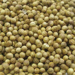 RA_[ z[ 20g|100g|500g [hCn[u]yzn[uX JX|XpCX J[