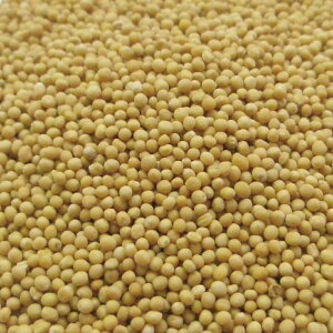 }X^[h z[ 20g|100g|500g [hCn[u]yzn[uX JX|XpCX