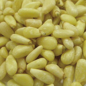 }c̎/̎ z[ 20g|100g [hCn[u]yzn[uX JX|n[ueB[ `EZSE Nܗt