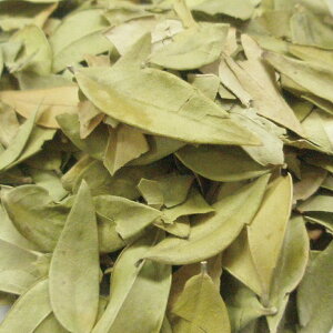 }[g [t z[ 20g|100g|500g [hCn[u][Hps]yzn[uX JX