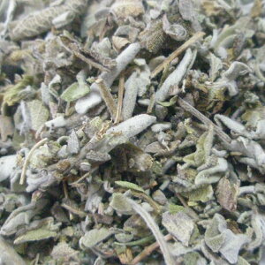 Z[W z[ 20g|100g|500g [hCn[u]yzn[uX JX|n[ueB[