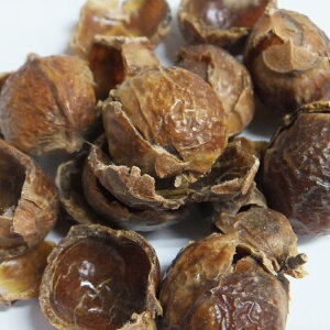 \[vibc VF z[ 20g|100g|500g [hCn[u][Hps]yzn[uX JX|؂̎̐ GR