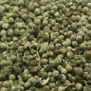 `FXgx[ z[ I[KjbN 20g|100g|500g [hCn[u]yzn[uX JX|L@ n[ueB[ mjW{N `FXgc[ ZCEjW{N