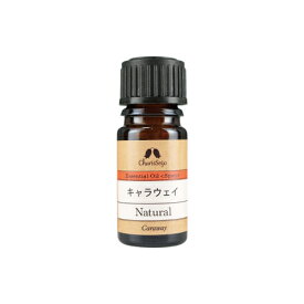 キャラウェイシード/ヒメウイキョウ オイル 5ml [エッセンシャルオイル] EO 【公式】カリス成城 アロマ 専門店 精油 アロマオイル