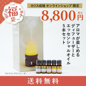 11/10̔Jnyz A}y߂fBt[U[ƃGbZVIC5{Zbg [JX镟 2026]