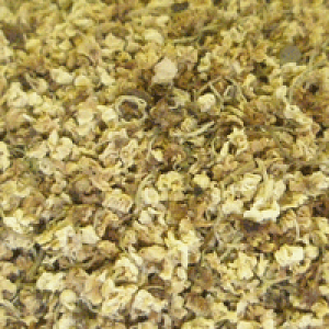 エルダーフラワー ホール WH 100g [ドライハーブ]【カリス成城】