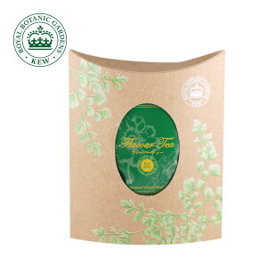 KEWK[f t[o[eB[ g eB[obO gCAZbg 5Py5zyJX/L[K[fzyzJX n[u X KEWA L[A CMX